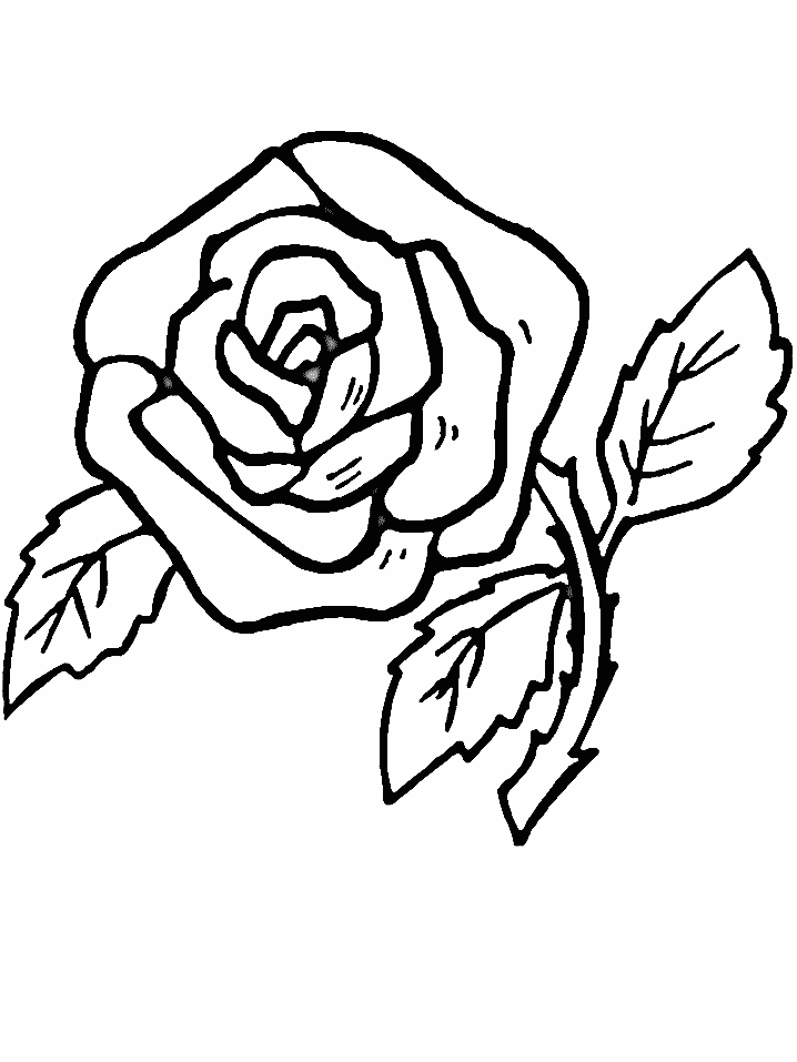 coloriage tige de rose